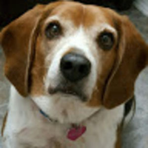 Meet your Posher, Thelifeof